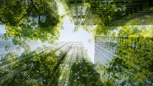 Top 100 in Sustainability - 2022