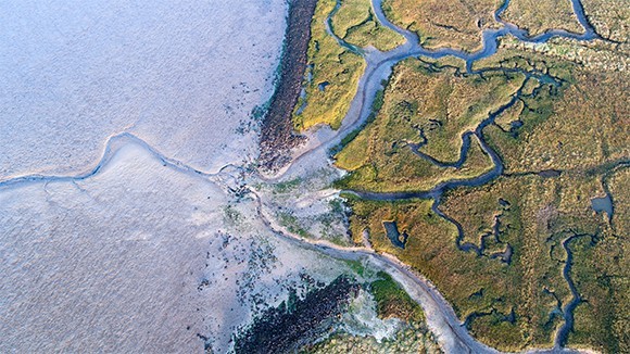 aerial view of salt marsh and coastline