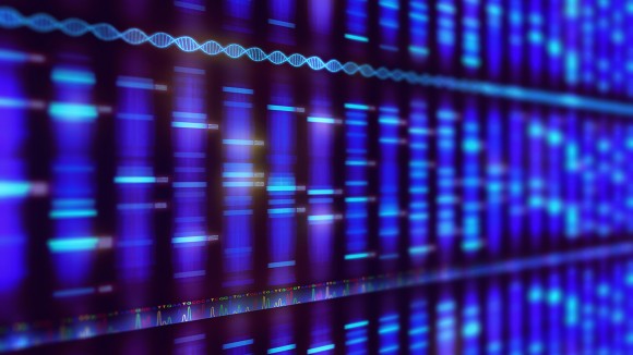 A diagonal view of a computer screen displaying DNA sequencing