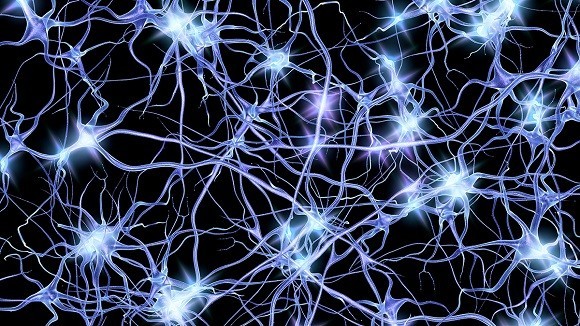 image of blue neurons