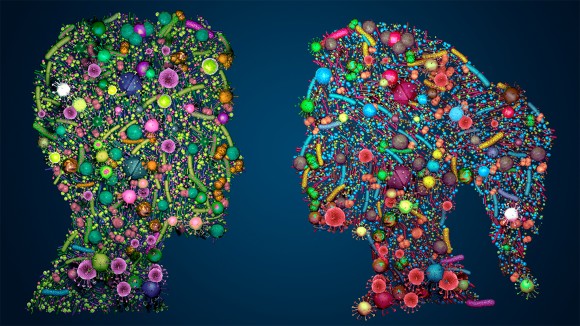 Two face side profiles, made up of colourful microbes of varying shapes and sizes, facing towards each other on a blue-black background