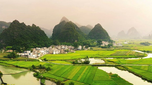 Rice fields in front of karst formations in Guangxi, China