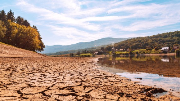 Drying up pond, cracked earth.
