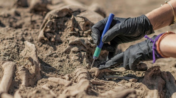 Forensic and experimental archaeology: Scientific Reports: Collection (2024)