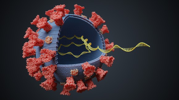 Virus with RNA molecule inside. Viral genetics concept. 3D rendered illustration.