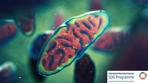 illustration showing multiple mitochondria organelles on a green background