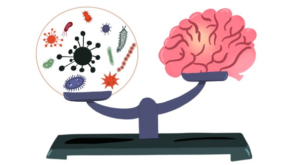Microbiote deuxième cerveau 