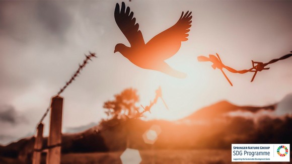 Free bird enjoying nature on sunset background, hope concept, soft focus picture