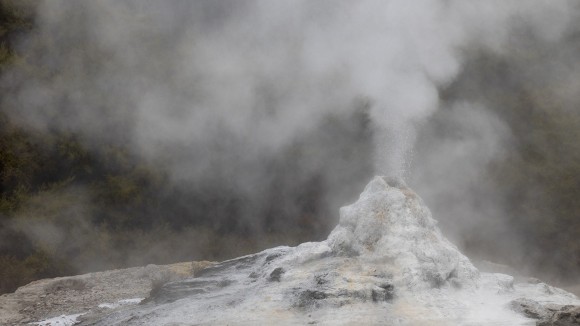  boiling geyser at wai o tapu on the north island of new zealand