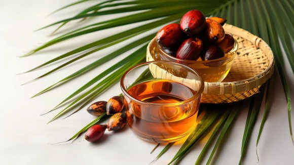 palm oil