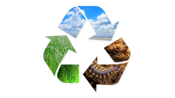 Recycling symbol with nature images