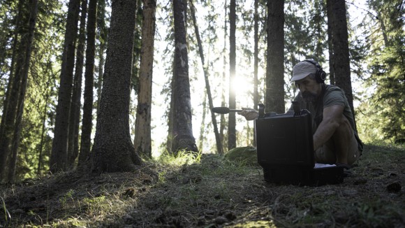 Bioacoustics