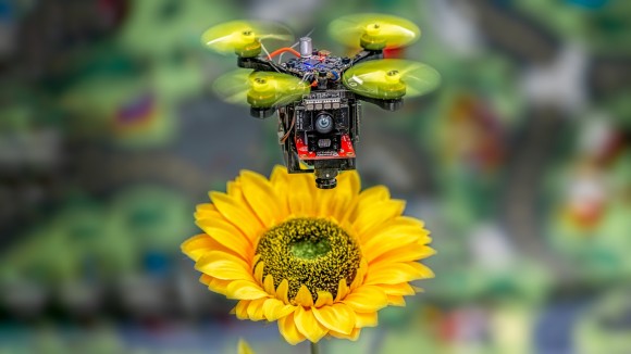 BeeQuadrotor on a flower