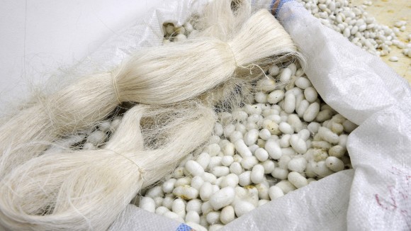Collection policies | Silk science and technology