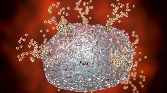 Mast cell releasing histamine during allergic response, 3D illustration