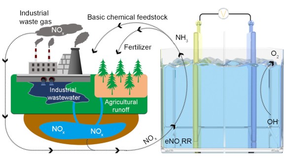 nitrogen cycle with a focus on the electroreduction of nitrogen oxides (NOx) from industrial wastes to basic chemical feedstock and fertilizer.