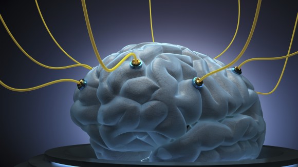 Human brain and neuroprosthetics