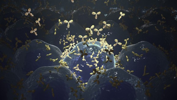 Release of monoclonal antibodies, illustration - stock illustration