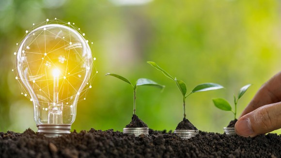 Photosynthesis sales light bulb