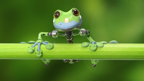 treefrog on a branch - stock photo