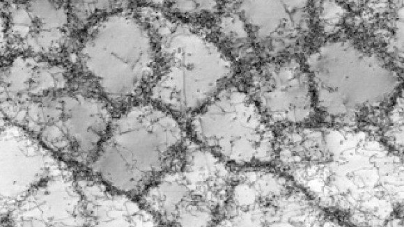 Celluar structures in additively manufactured stainless steels.