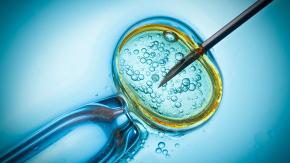 IVF concept.  Close up view of needle inserting sperm into an embryo