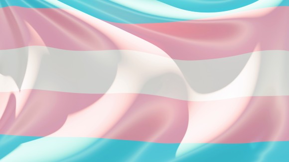Transgender pale blue, pale pink, and white striped flag