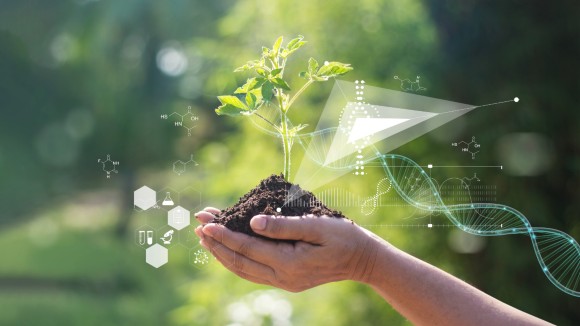 Advances in Plant Biotechnology: Tools, Traits, and Translational  Innovations