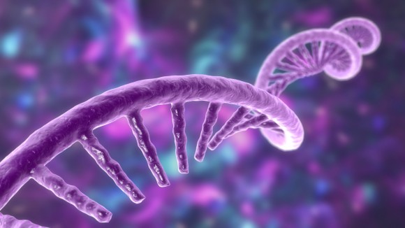 RNA biology in plant biotic interactions