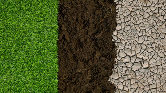 Soil microbiomes and carbon sequestration under global change