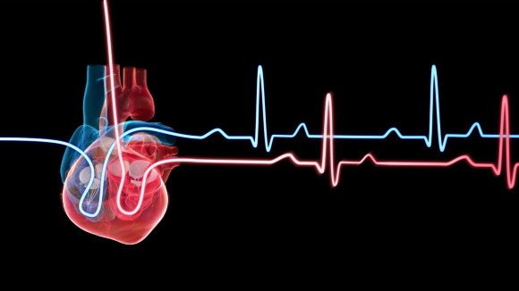 3D illustration of a human heart with a heartbeat traces