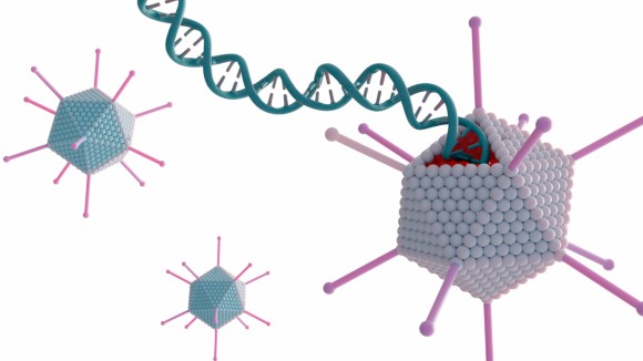 Structural biology of viral nano machines