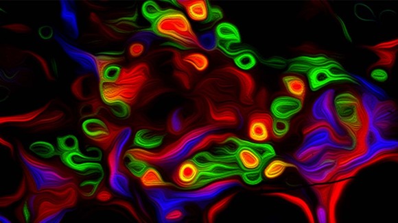 A perivascular niche for multipotent progenitors in the fetal testis.