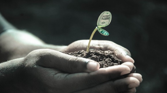 Hands holding soil, sprouting plant with money as leaves.