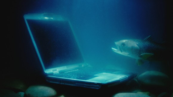 Underwater and underground wireless sensor networks