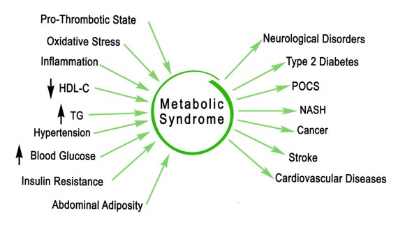 metabolic-syndrome-and-cancer