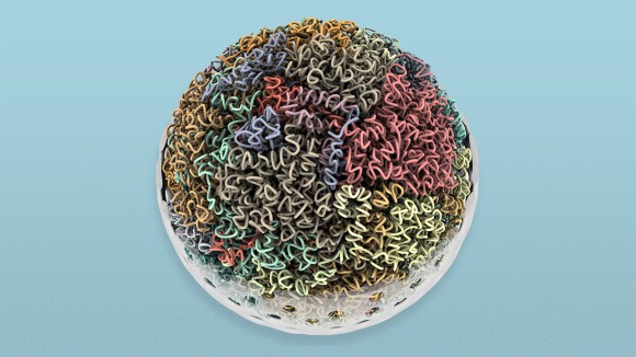 A 3D-rendered image of a nucleus, showing distinct compartments of DNA in various colours within it.
