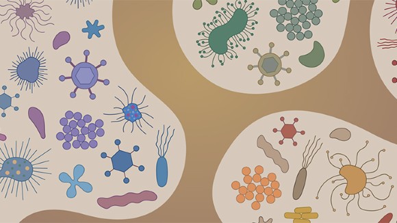 Diverse microorganisms in patches