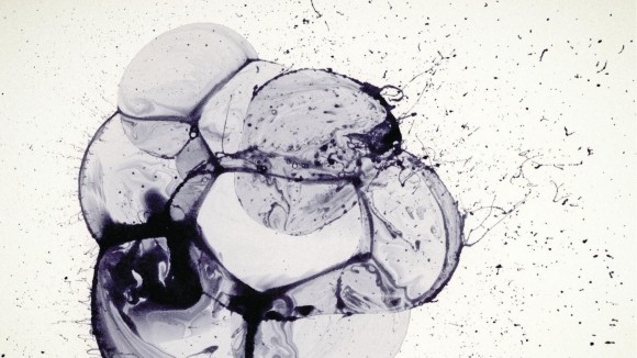Abstract artwork representing an ovary at the moment of ovulation, created using soap bubbles and ink to evoke the dynamic cellular and fluid forces involved in this process. 