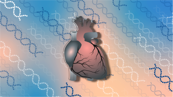 Heart on a background of DNA strands
