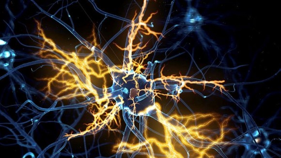3D rendered illustration of a nerve cell