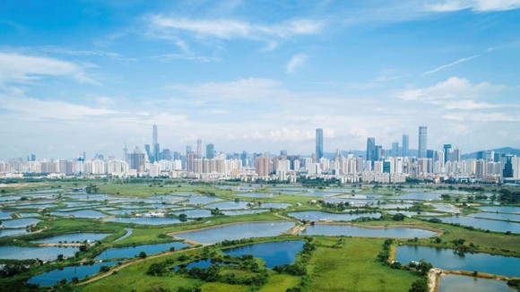 Nature-based solutions to climate change