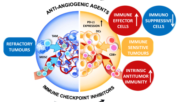 Immune checkpoint inhibitors in modern cancer treatment