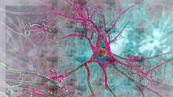 connecting neurons