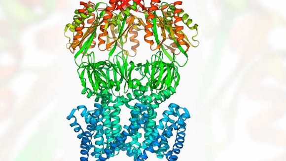 A structure of multicoloured arrows and helices intertwined, forming a membrane transporter protein, on a background of blurred multicoloured arrows and helices