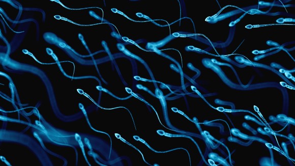 Blue microscopic sperm on black background.