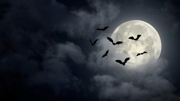 Bats flying in front of a full moon