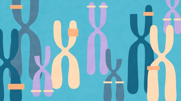 An image of chromosomes is shown, where some have mutations and others are missing chromosomal segments. 