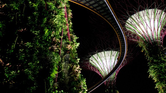 Three large structures (so-called ‘Supertrees’), covered by vertical planting, are photographed at night in Singapore.
