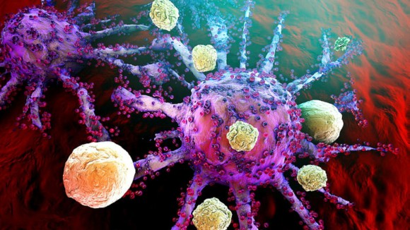 T-Cells of the immune system attacking growing cancer cells